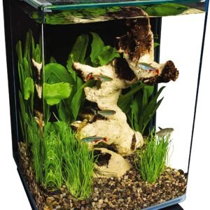 Portrait Glass LED Aquarium Kit, 5 Gallons, Hidden Filtration