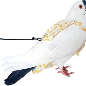 Pigeon Dove Diaper Pants with Leash for Pigeon Dove